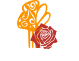 Flamenco House Brisbane